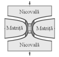 Miniatură pentru versiunea din 2 martie 2013 01:41