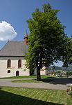 Rosskastanie (Aesculus hippocastanum)