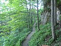 Indian Ladder Trail, the path through the wooded area