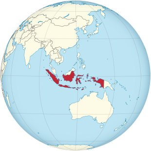Indonesia on the globe (Southeast Asia centered).svg