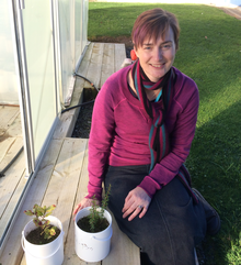 Jacqui Horswell, a white woman wearing a pink sweater, sits next to two small white pots with plants in them