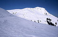 Der Gipfel des Juifen aus der Richtung Südost, Vorkarwendel (29. September 2002)