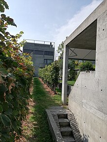 Casa Guidotti a Monte Carasso con vigneto antistante