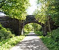 The Middlewood Way in summer