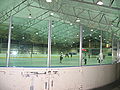 The arena at Minoru Park.