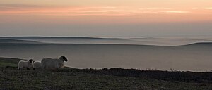 A view of the North York Moors North yorks moors.jpg