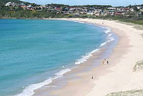 Forster (Australie)