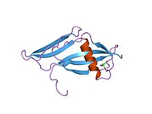 PDB 2sak EBI.jpg