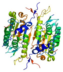 Протеин CASP2 PDB 1pyo.png