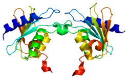 Белок CDA PDB 1mq0.png