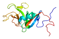 Белок FCER2 PDB 1t8c.png