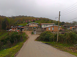 روستای سلیم شیخ