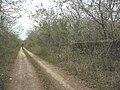 Vista de la hacienda.