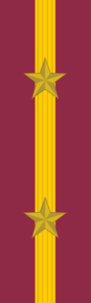 100px-Sergeant_rank_insignia_%28Manchukuo%29.png