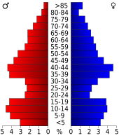 Bevolkingspiramide Archer County