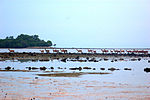 Miniatura para Parque nacional de Baluran