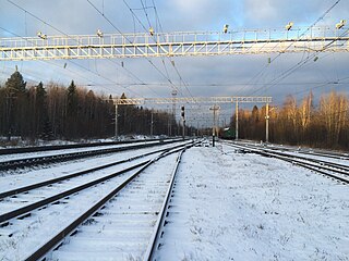 Пути станции. Вид в сторону ст. Голиковка.