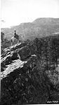 The Forest Supervisor near Mount Taylor in 1925. Photo: US Forest Service.