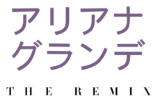 Logo del disco The Remix