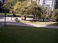 View of ANZAC Square from Ann Street
