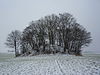 Tumulus van Avennes