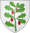 Blason