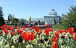 Miniatura para Jardín botánico Lewis Ginter