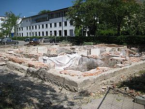 Les fondations de la Maison brune en 2007.