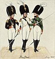 Frankfurt (Oder) 1805: Chargierte der drei Frankfurter Kränzchen 1805, links (schwarzer Frack) Silesia, Mitte (weißer Frack) Marchia, rechts (grüner Frack) Borussia