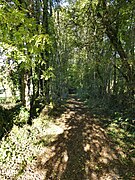 Le sentier de grande randonnée GR 4 près du domaine de la Malinie.