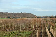 Grebbeberg the Netherlands.jpg