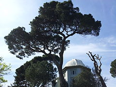 Kandilli Observatory.jpg