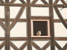Das Bild zeigt im Querformat die Hauswand eines Fachwerkhauses. In einem geöffneten Fenster sitzt eine Katze und genießt den Sonnenschein.