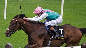 Image illustrative de l’article Kingman (cheval)