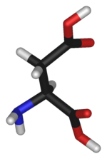 Chemical structure of the amino acid aspartate