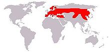 Euroopa ja Siberi metskitse levila Euroopas ja Aasias