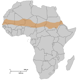 Africa sahariana - Localizzazione