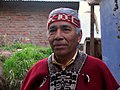 Image 8A Mapuche man in present-day Chile (from Indigenous peoples of the Americas)