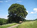 Vorschaubild der Version vom 17:10, 31. Mai 2020