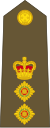 New Zealand-Army-OF-5.svg