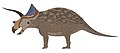 Ojoceratops fowleri