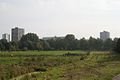 Uitzicht op het veld vanaf de dijk bij rivier de Rotte