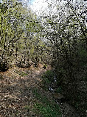 Jedan od brojnih potoka koji izviru sa Kukavice