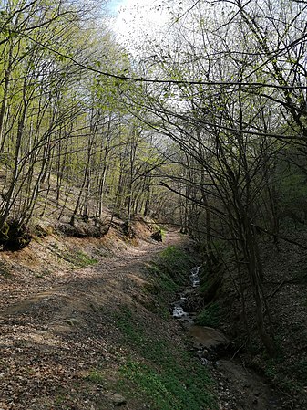 Jedan od brojnih potoka koji izviru sa Kukavice (selo Nakrivanj)