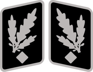 Ficheiro:SS-Gruppenführer Collar Rank.svg