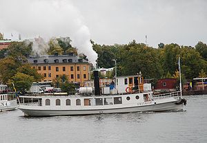 S/S Frithiof framför Djurgården.