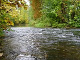 Seckach bei Niedrigwasser, Aufnahme zwischen Adelsheim und Sennfeld