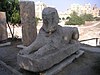Sphinx Psammetique II 1104.jpg