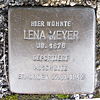 Stolperstein Bad Bentheim Am Berghang 5 Lena Meyer