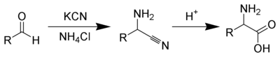 The Strecker amino acid synthesis